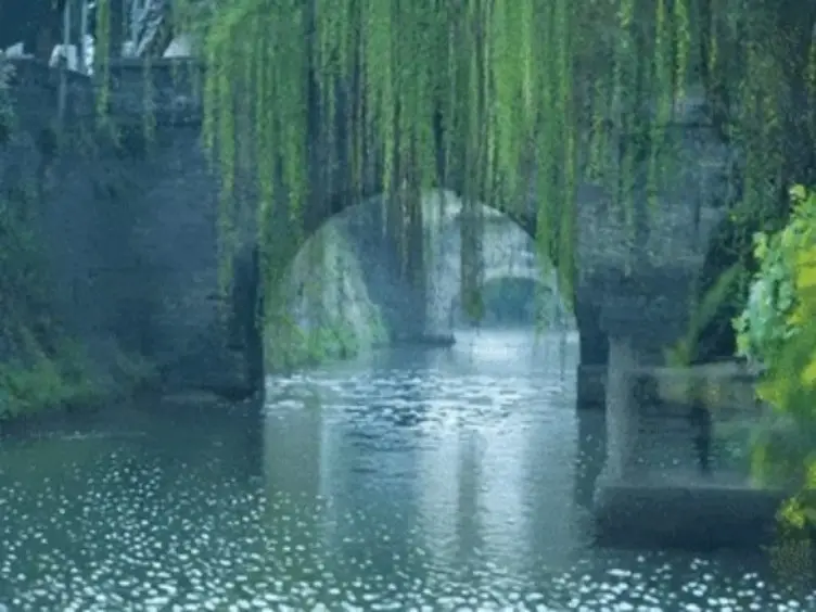扬州河道垂柳掩映石拱桥与落花