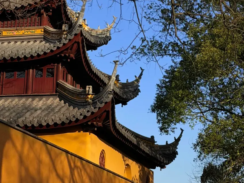 灵岩山寺黄墙飞檐与树影
