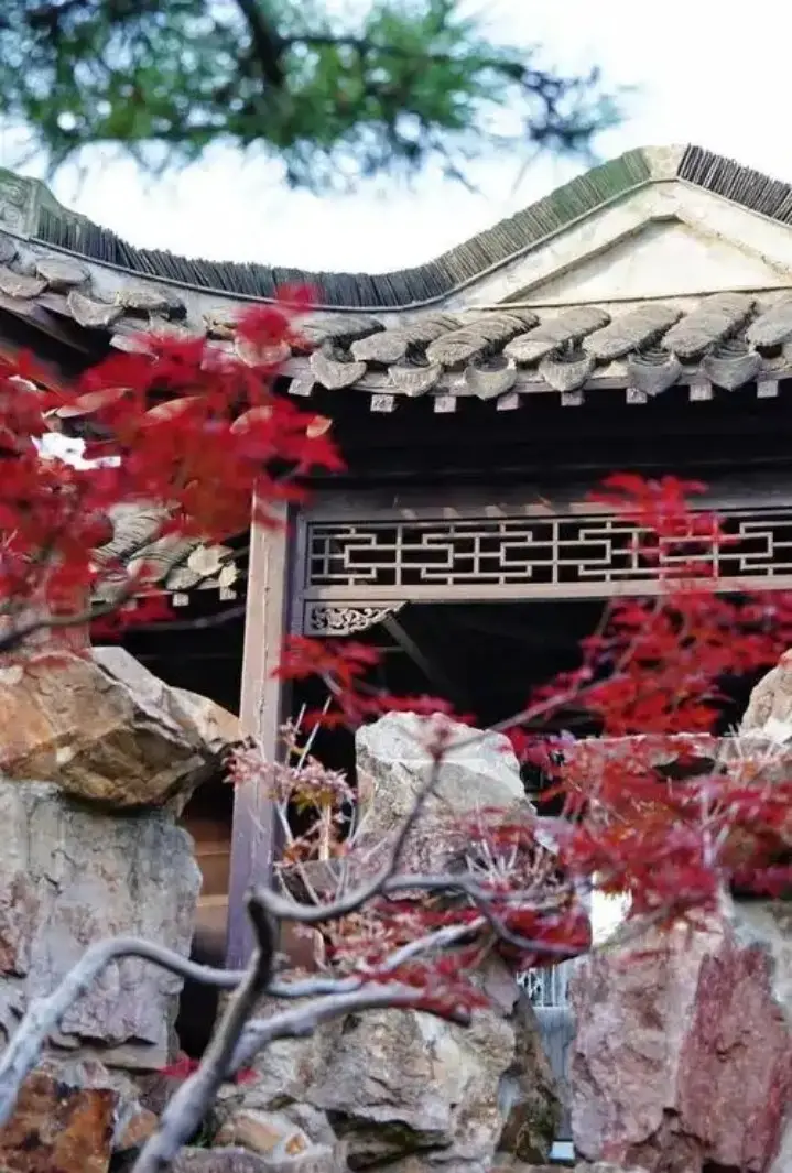 秋日紅楓與廊角太湖石示意