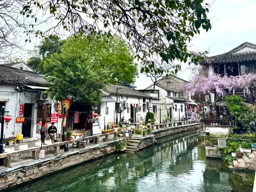 平江河巷紫藤白墙临水街景