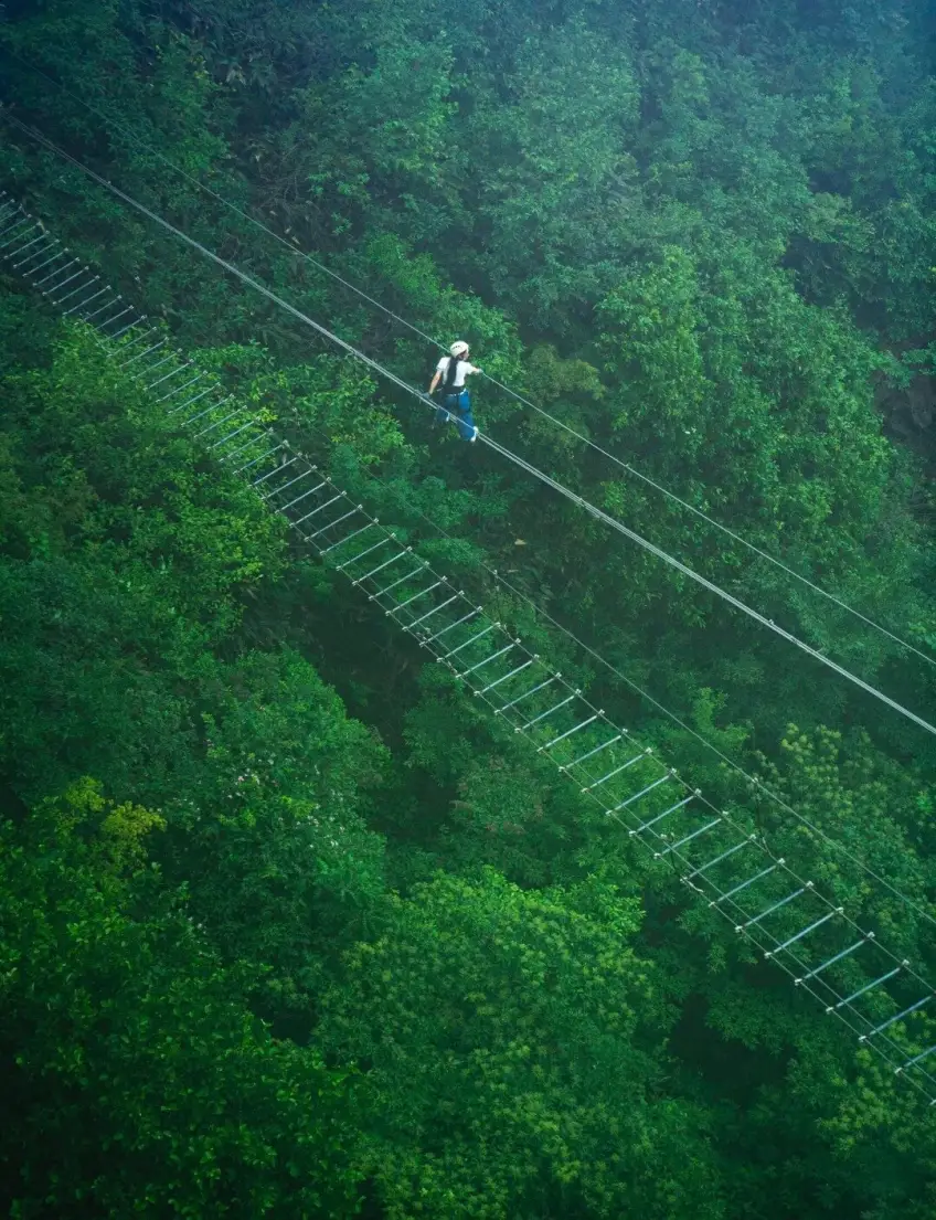 高空绳索桥游客穿越翠绿林海