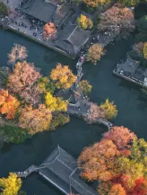 【苏州周庄一日游】拙政园+周庄水乡（纯玩）