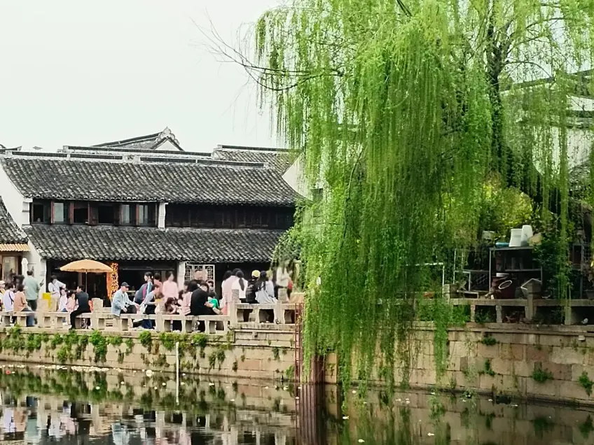 月河柳树河岸与游客日景