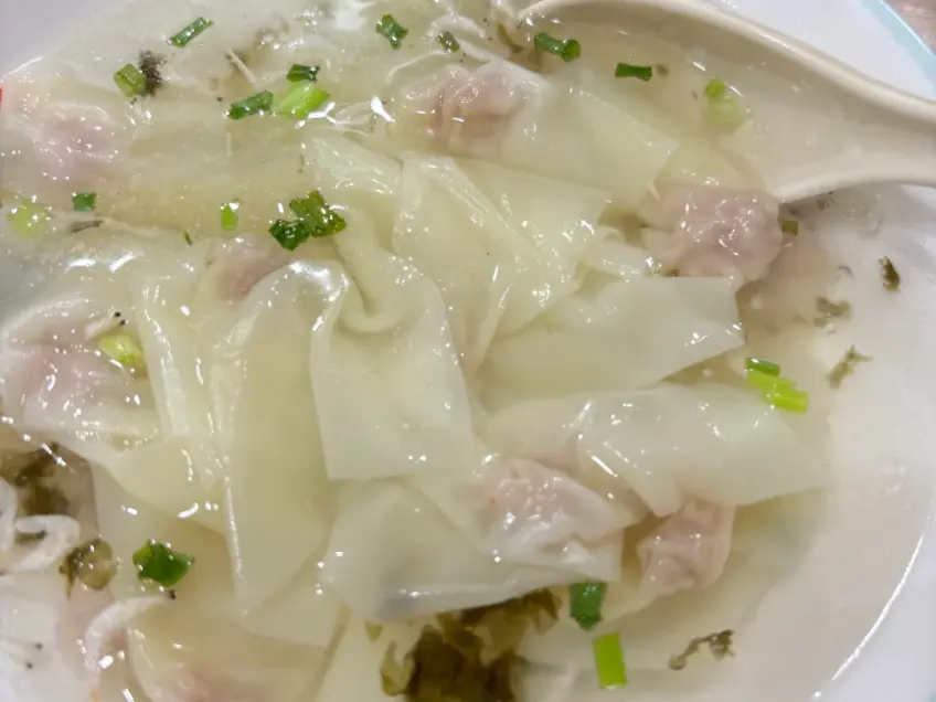 清汤小馄饨葱花满碗景