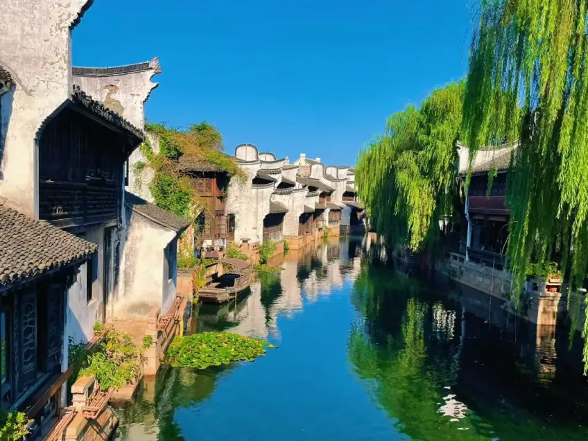 蓝天白云下白墙垂柳运河水道