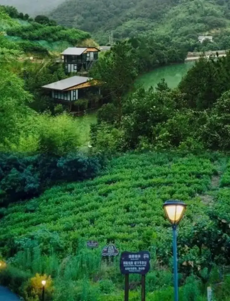 莫干山周边山间别墅民宿依坡傍水外景