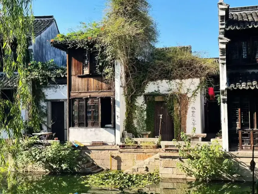 藤蔓缠绕木屋与运河岸日间景