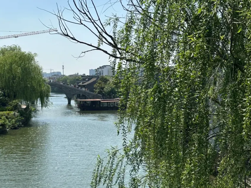 月河柳树石桥与游船日景