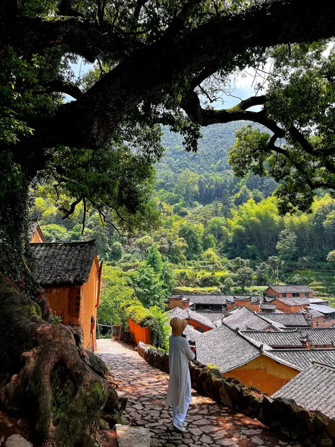 松阳古村落