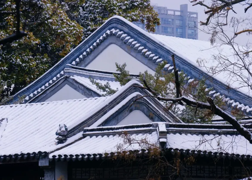 南京冬日古建灰瓦屋頂覆雪近景