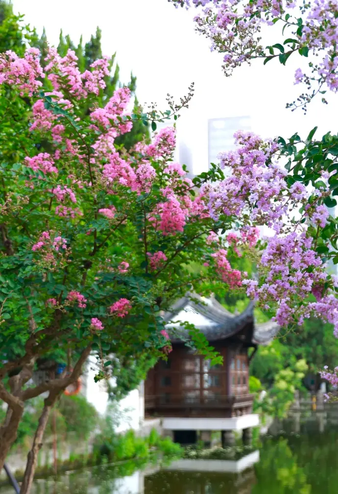 南京博物院