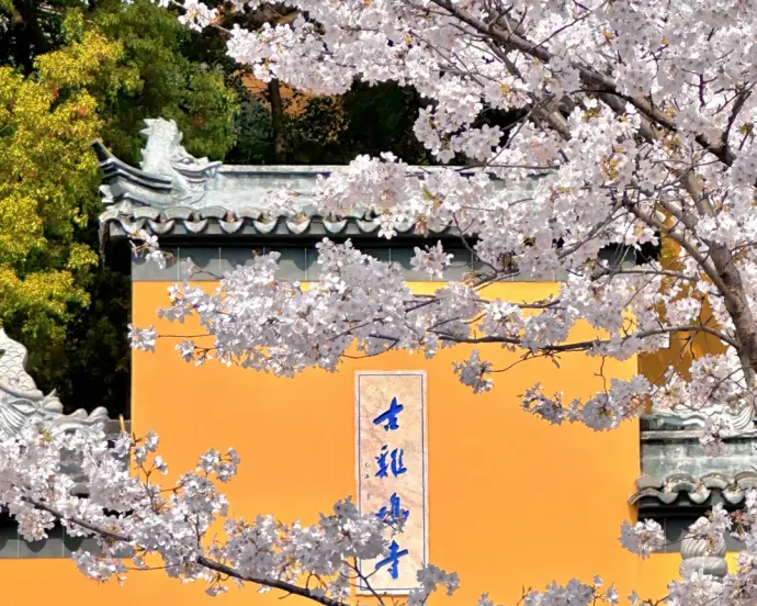 江苏