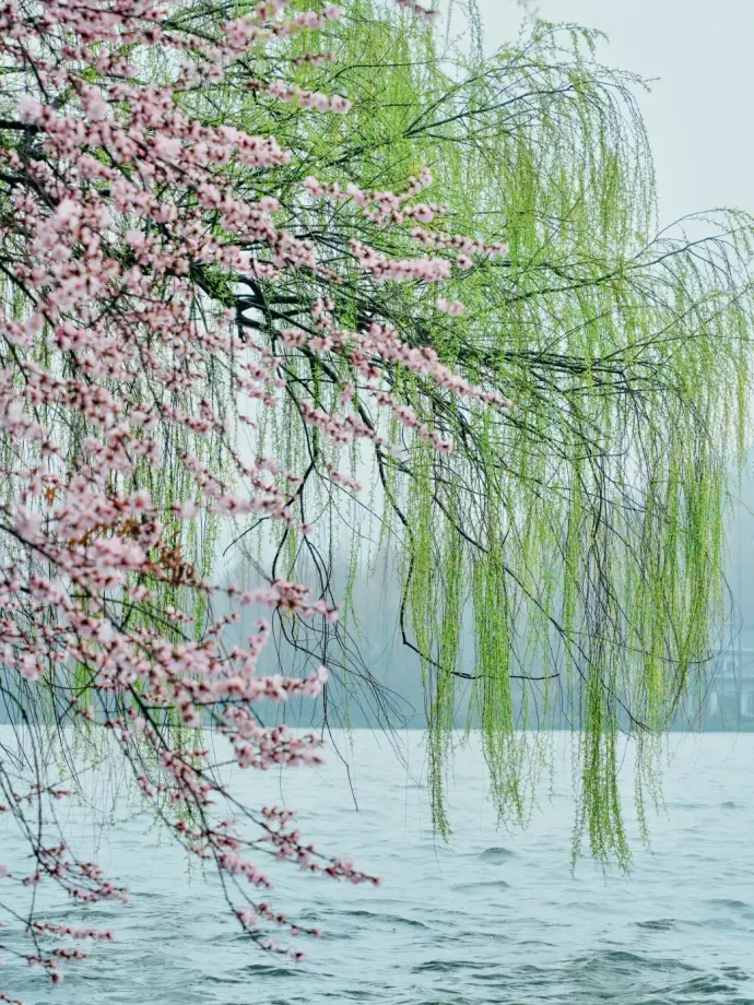 浙江