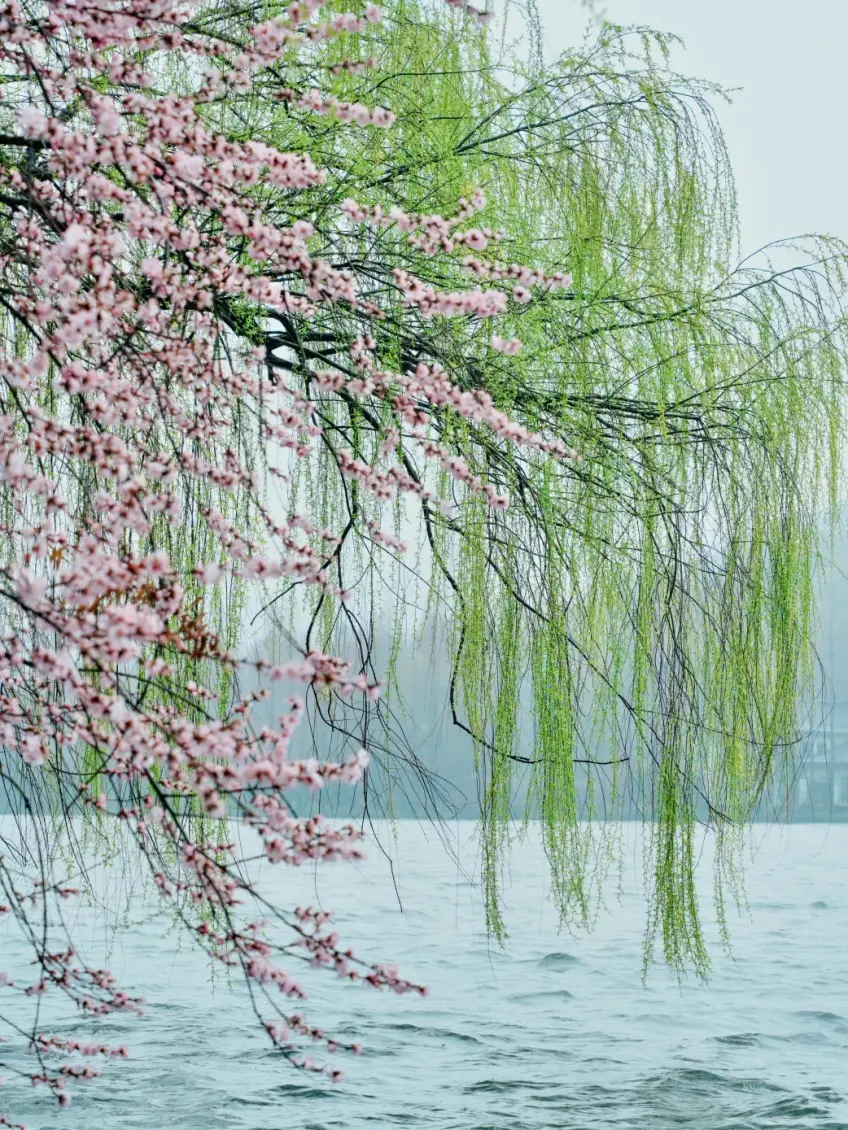 春日浙江水乡廊桥与两岸绿意