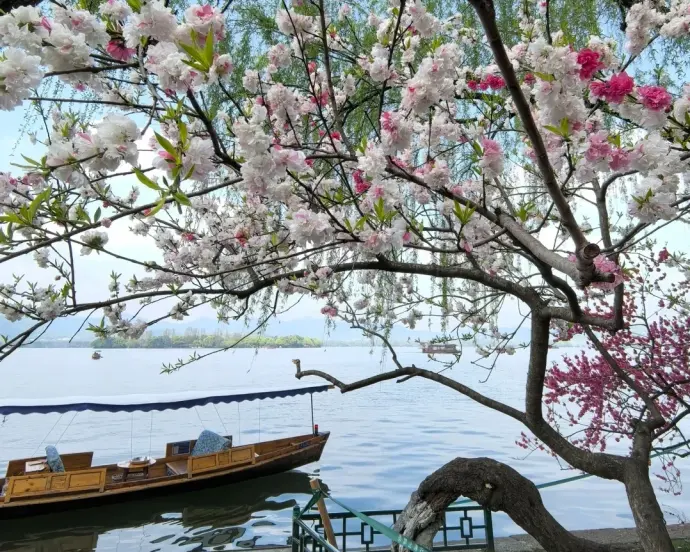 浙江
