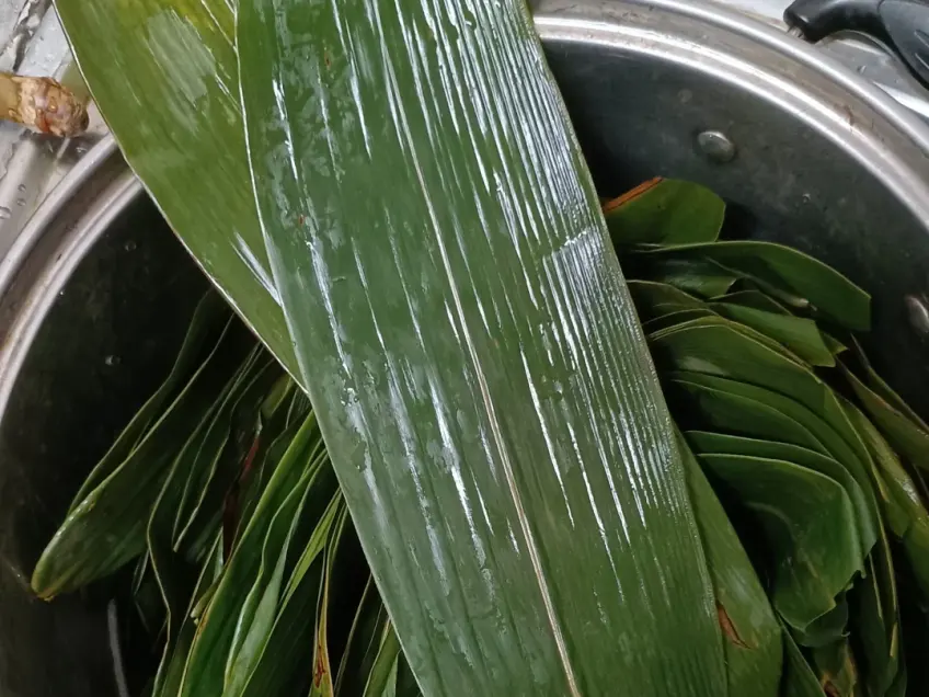 不锈钢盆中浸泡箬叶备料特写