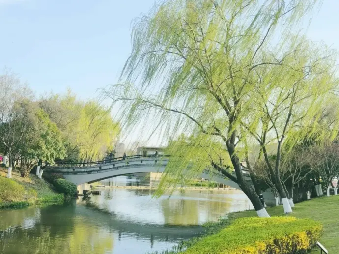 江苏