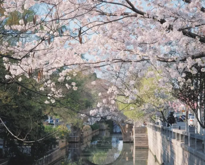 江苏