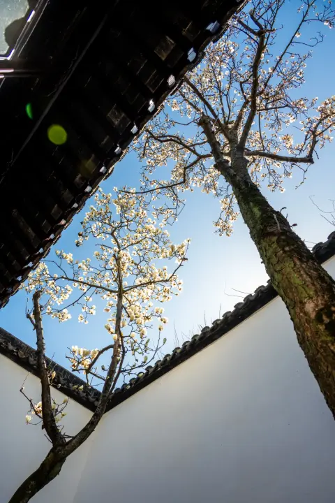 去江苏游玩哪儿风景最佳?苏州园林南京钟山与四季花海怎么排
