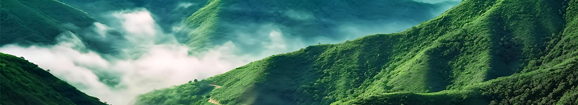 绿色旅行 专属于您的定制行程