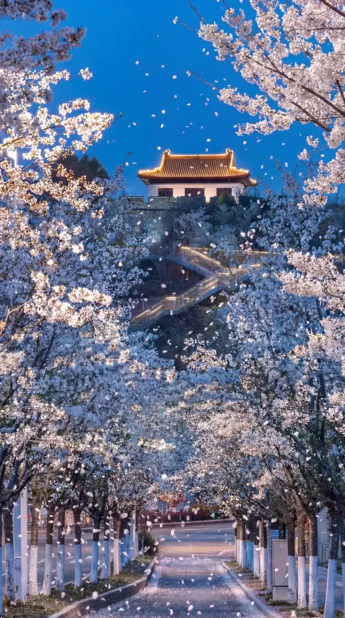 江苏