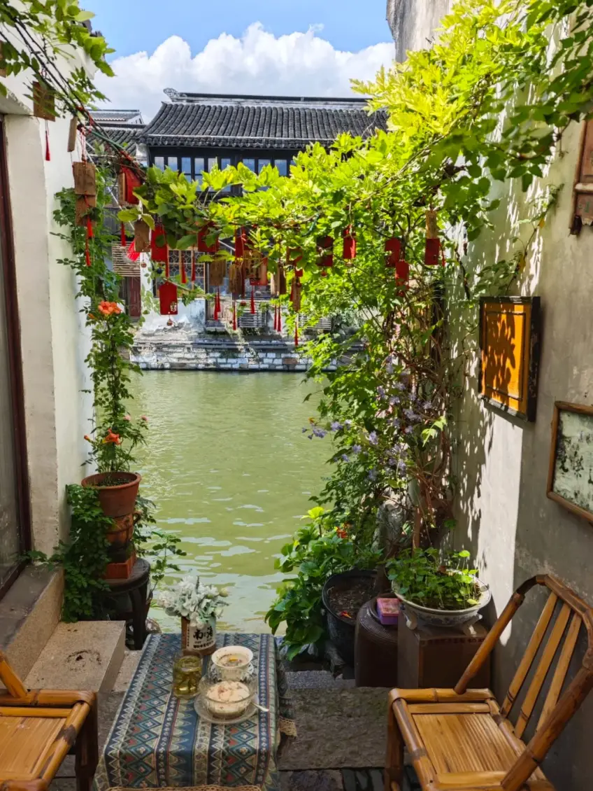 嘉兴水乡河岸柳树与民居