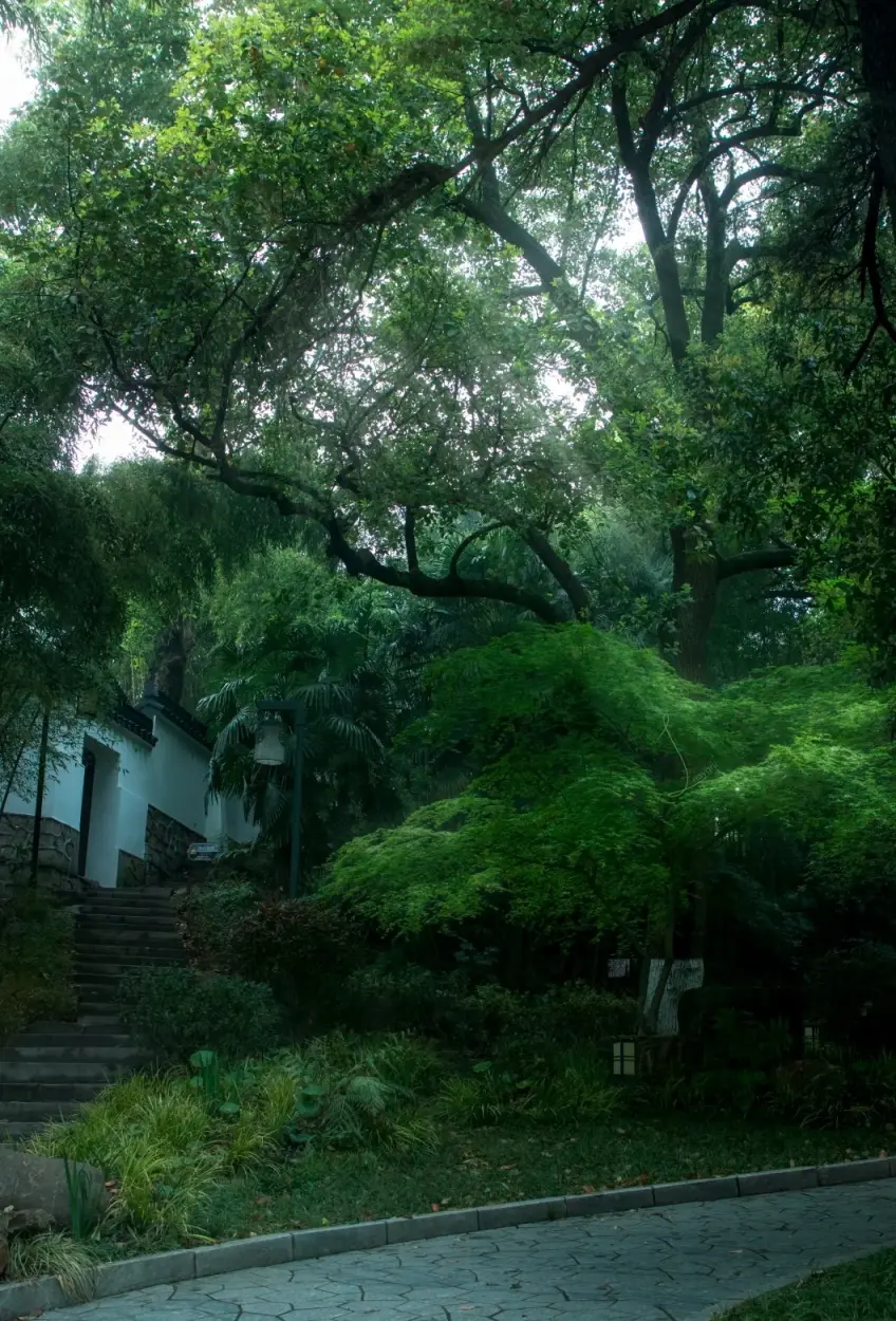 清涼山公園綠樹掩映石徑小道