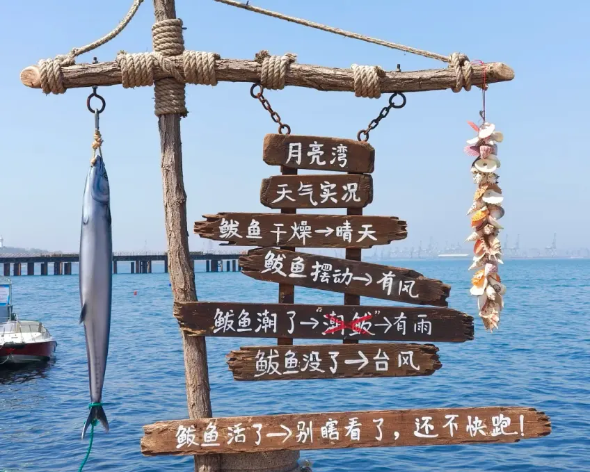 月亮湾鲅鱼天气预报趣味木质指示牌