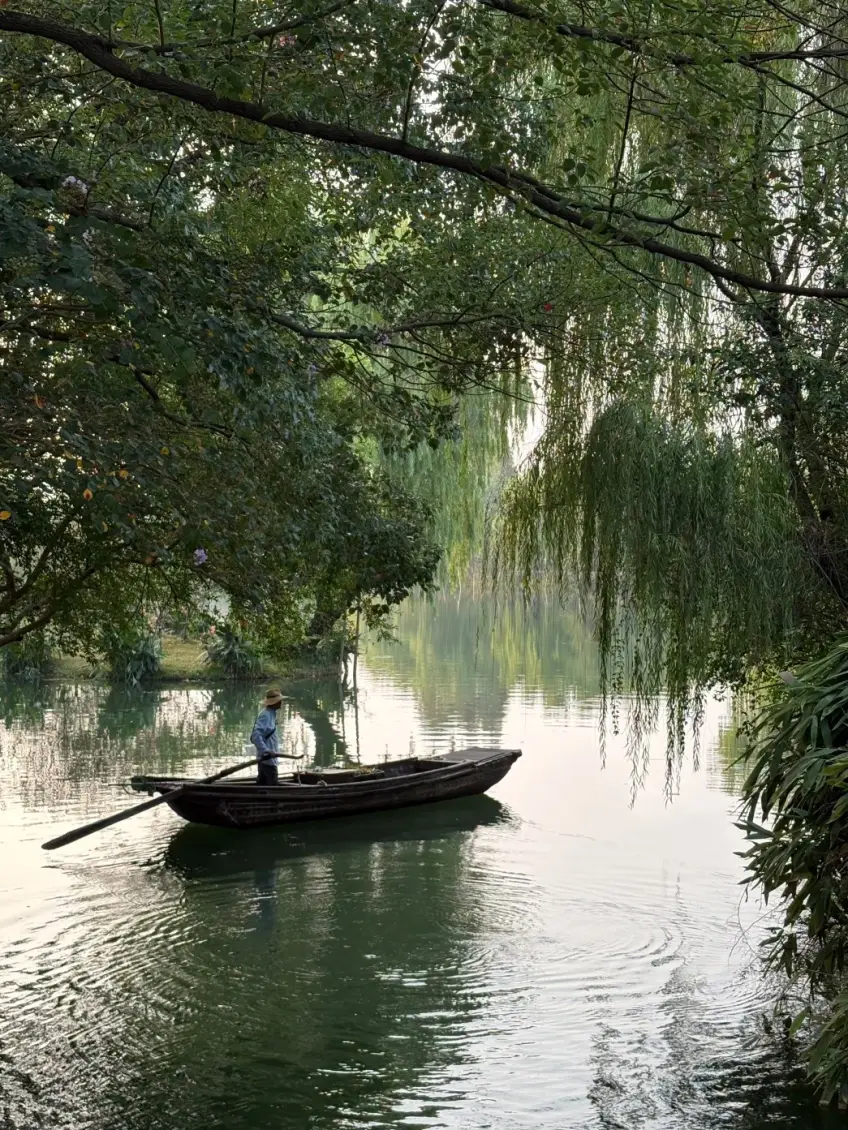 嘉兴水乡柳荫下摇橹船缓缓前行