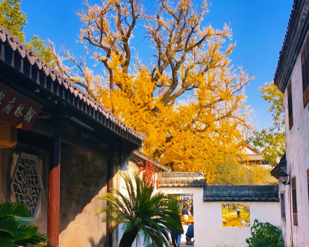 嘉兴的古镇那么多，如果你还不知道要选择那一座，就来看这篇嘉兴古镇介绍吧