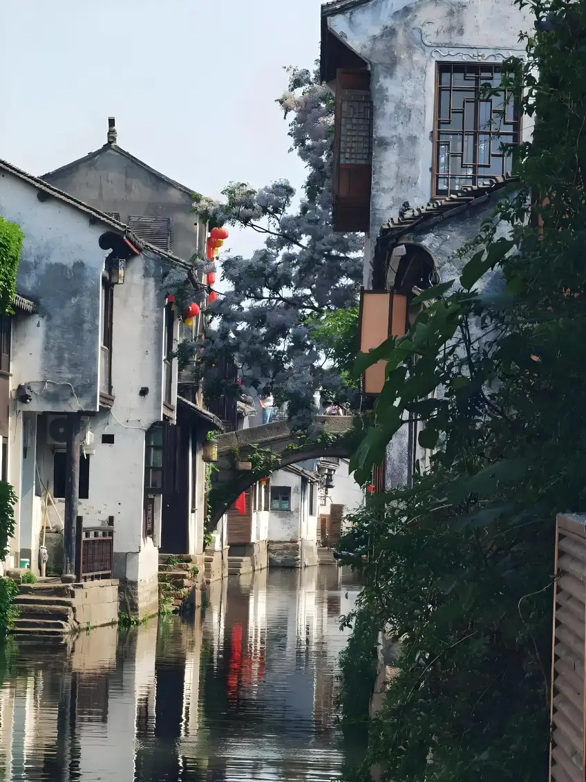 雙林水巷石拱橋白牆民居豎圖