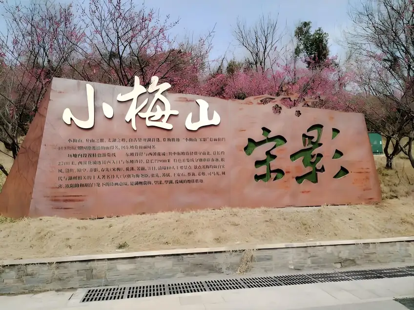 小梅山金屬碑與櫻花背景實景
