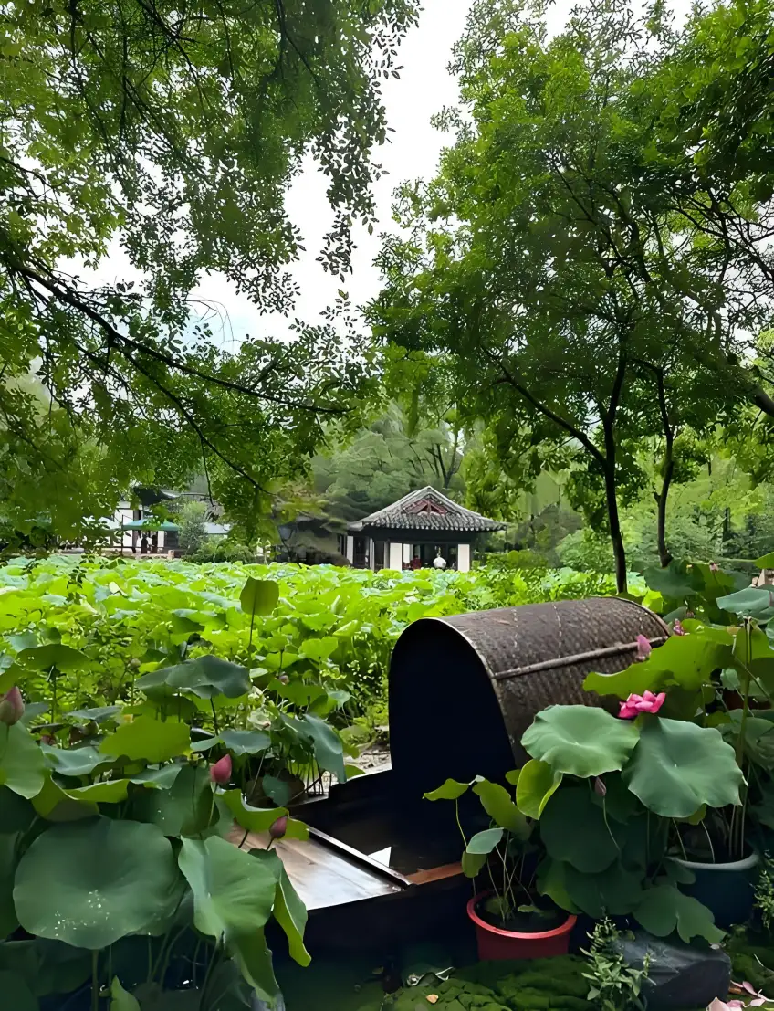 蓮花莊荷塘烏篷與亭廊水岸豎圖
