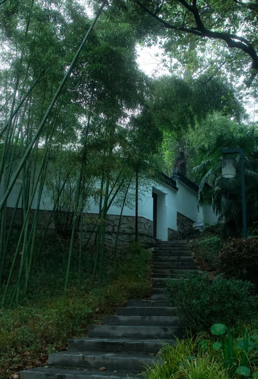 清涼山公園竹林石階與白牆門洞
