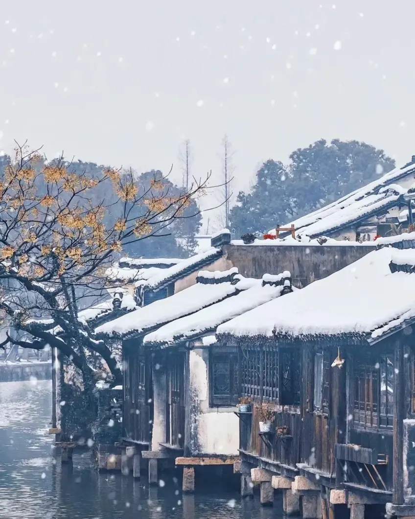 嘉兴水乡古镇雪中临河民居与落雪