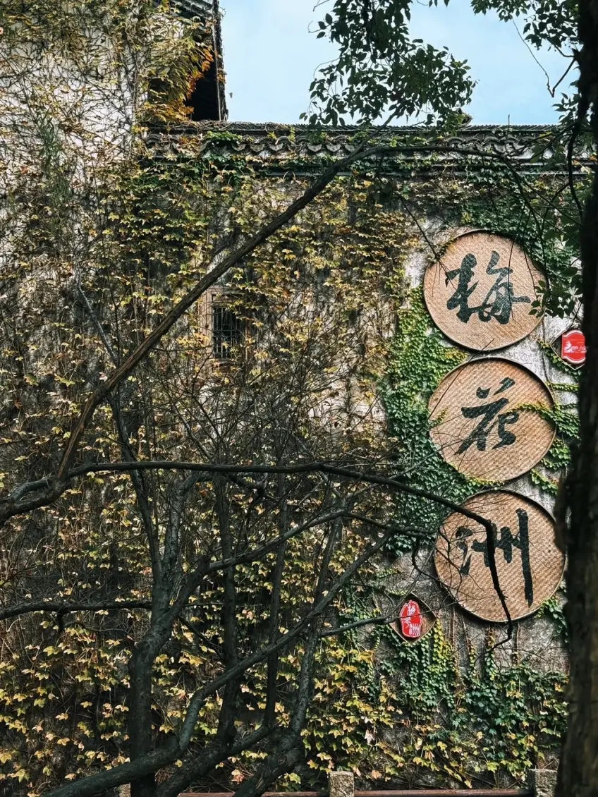 嘉兴梅花洲竹匾招牌与墙面藤蔓