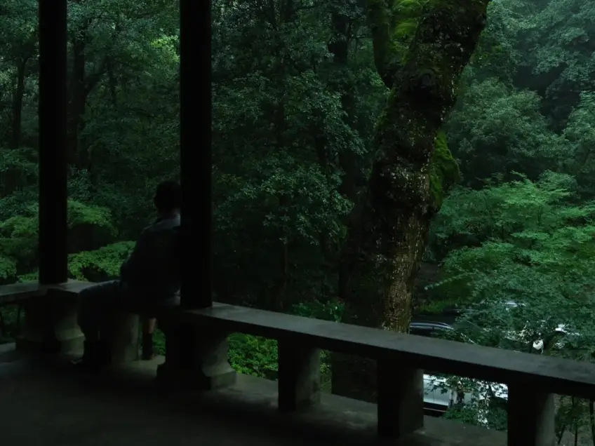 落雨亭阴影内眺望苔藓树林景色