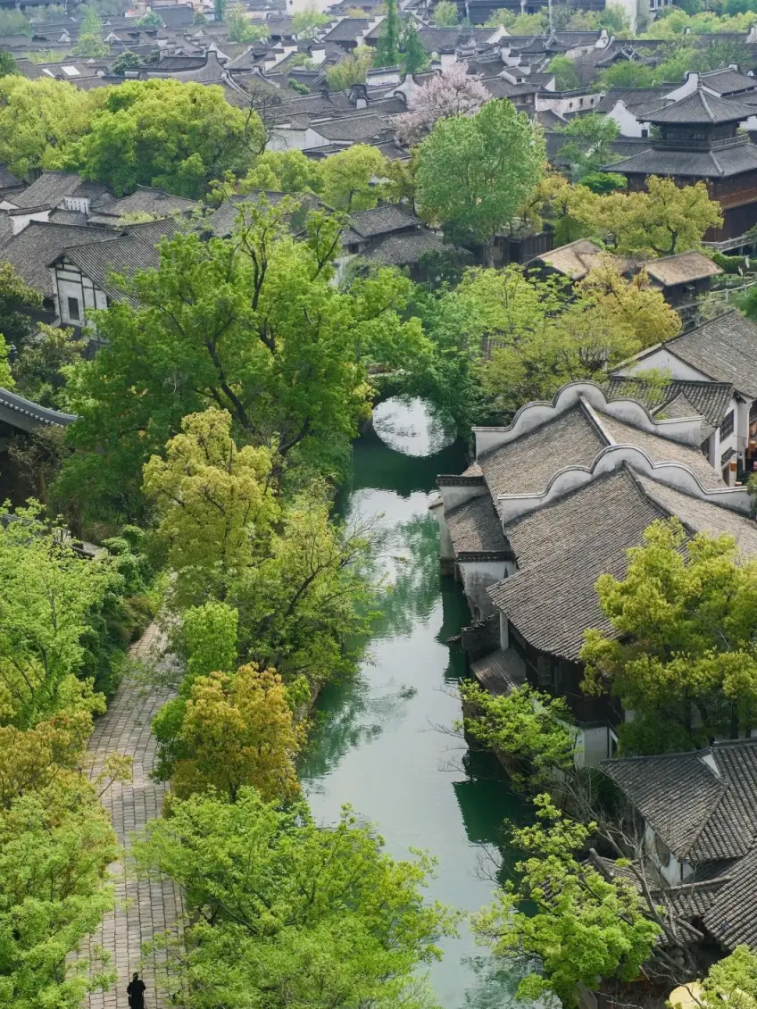 濮院古鎮水巷石橋綠樹與行人