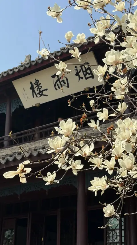 嘉兴三日游攻略:别再只知道红船了,这条宝藏路线让你重新认识江南小城