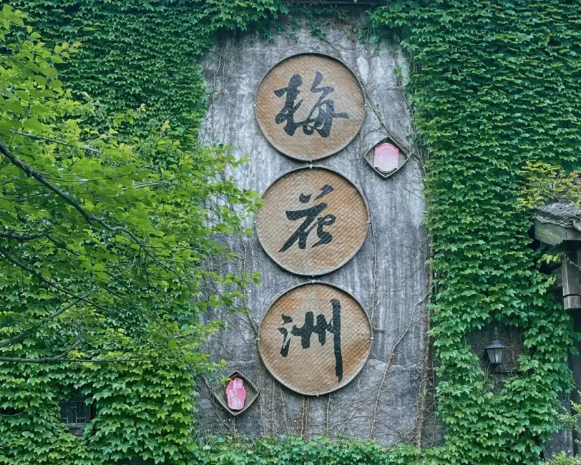 梅花洲景区竹编字牌与常春藤墙