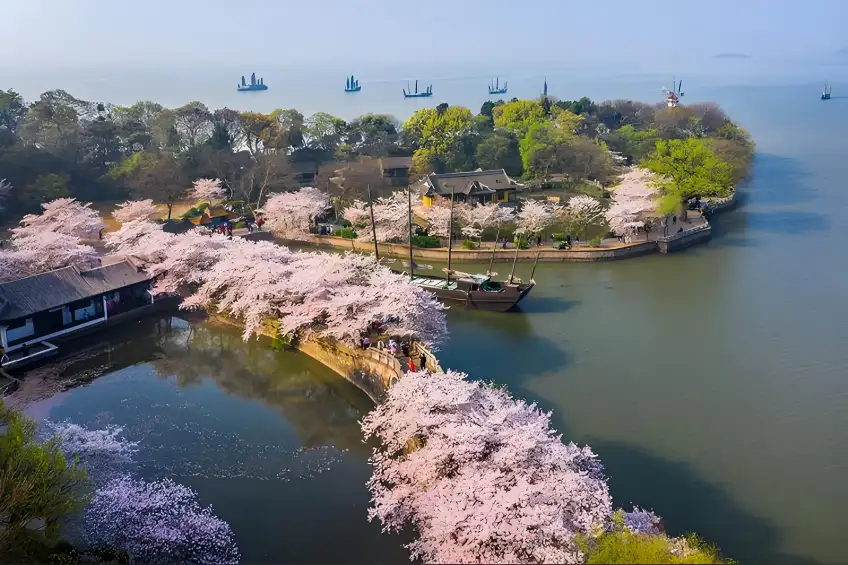 黿頭渚櫻堤航拍太湖帆船橫圖