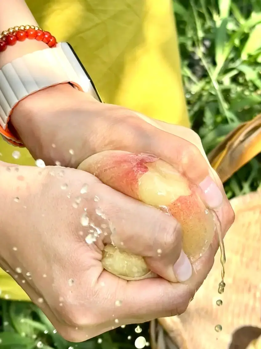 雙手擠陽山水蜜桃汁水示意