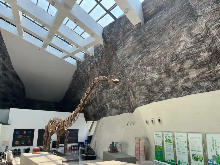 中華賞石園廳內奇石礦石展陳