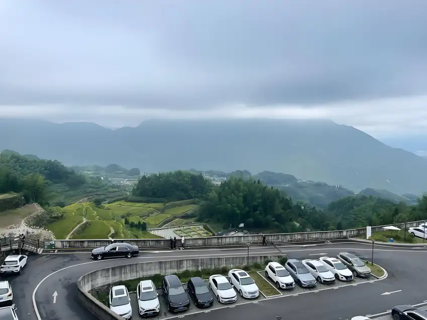 碼頭周邊停車場車輛整齊停放