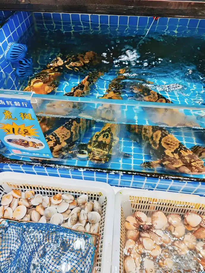 新鲜海鲜