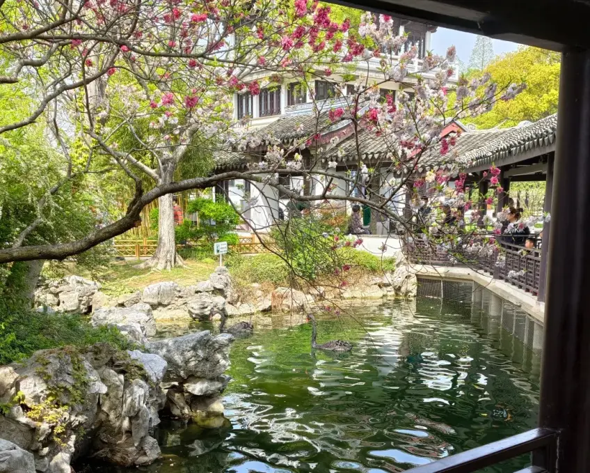 無錫蠡園亭廊流水與綠樹倒影