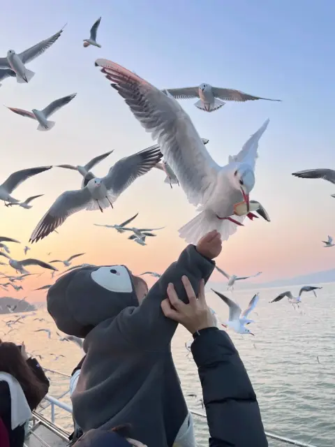 江浙沪旅行推荐|无锡亲子游,一站式体验山水乐园人文田园全攻略
