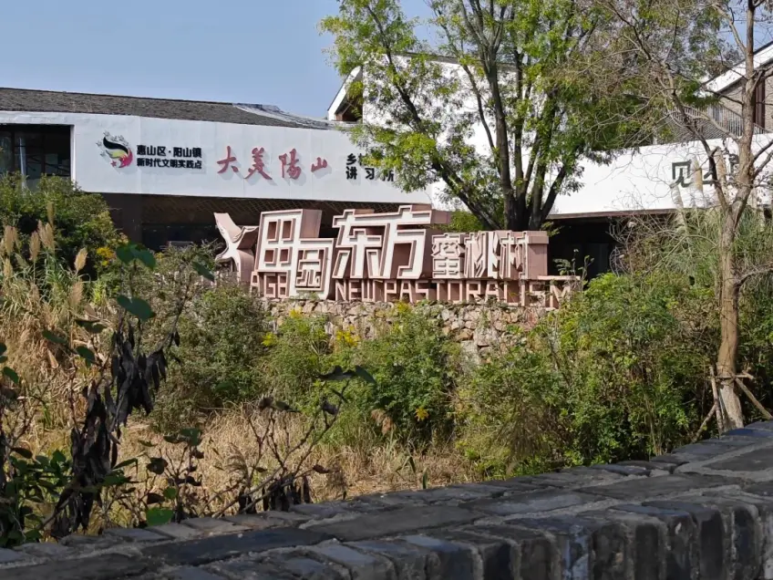 田園東方蜜桃村田野花海與村舍