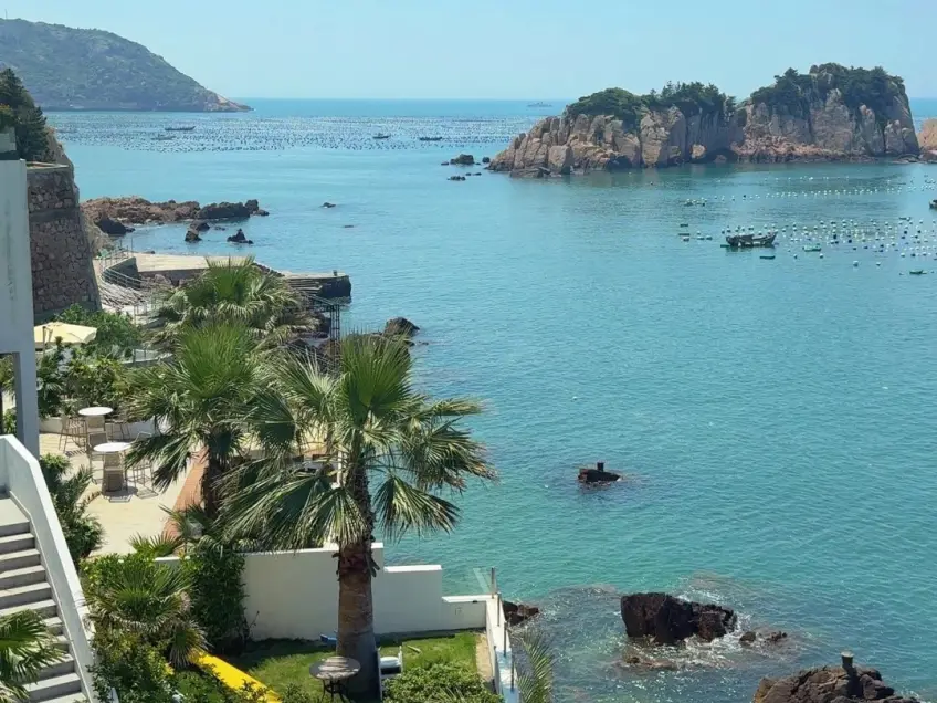 海邊露臺棕櫚與網箱浮球海面實拍