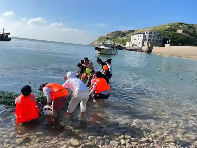赶海